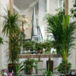 Garden room, Biophilia trend, Living with Nature, biophilic interior design. Many different indoor